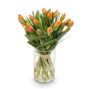 Kytice  tulipánů